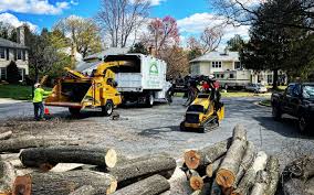 Best Tree and Shrub Care  in Richmond Heights, OH